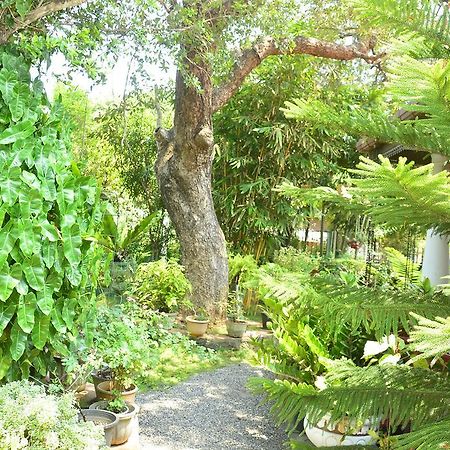 Livinginn Polonnaruwa Dış mekan fotoğraf