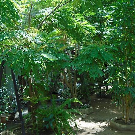 Livinginn Polonnaruwa Dış mekan fotoğraf