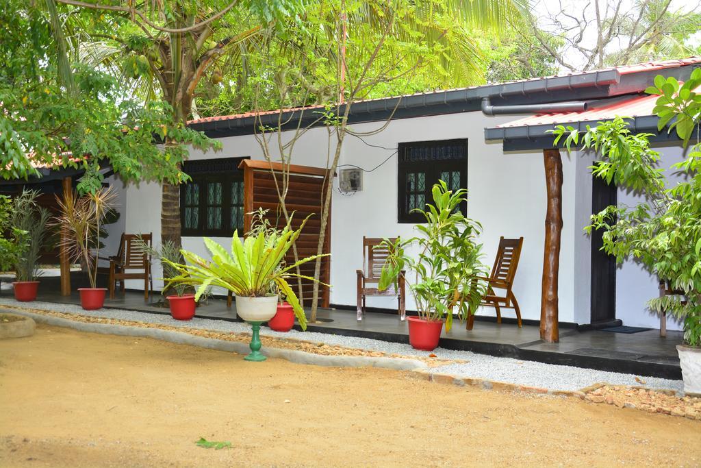Livinginn Polonnaruwa Dış mekan fotoğraf