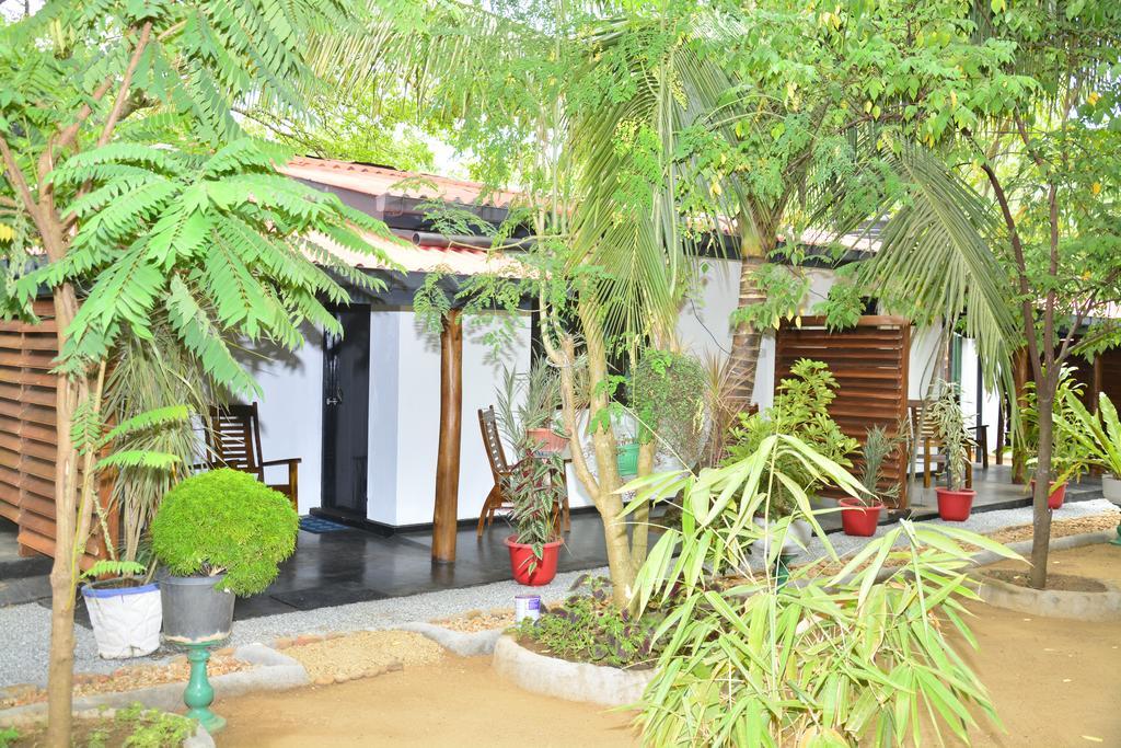Livinginn Polonnaruwa Dış mekan fotoğraf