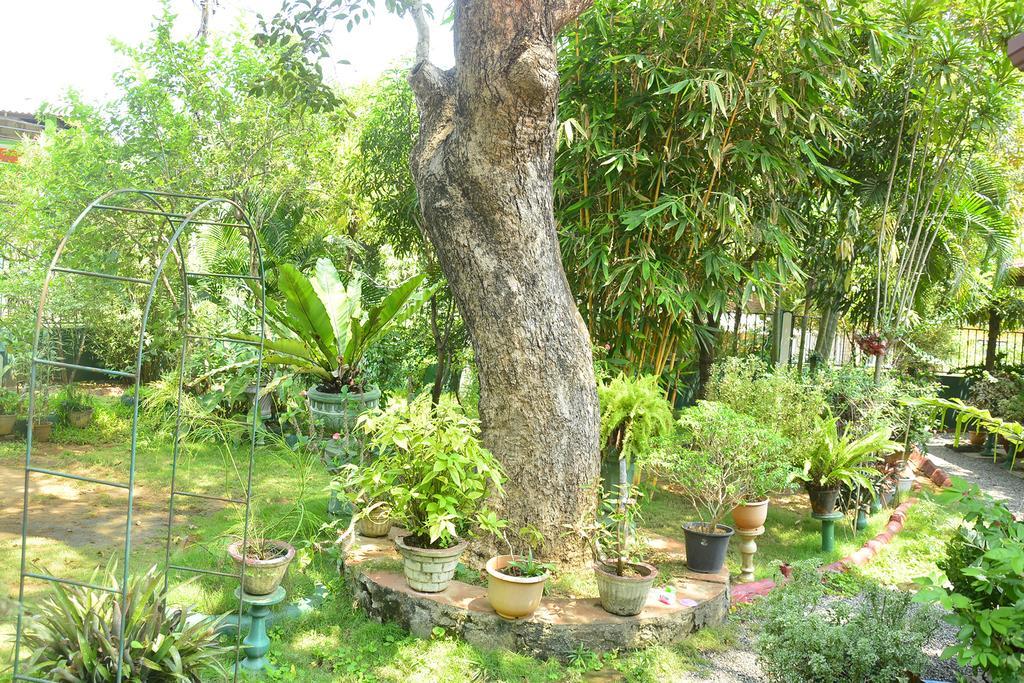 Livinginn Polonnaruwa Dış mekan fotoğraf