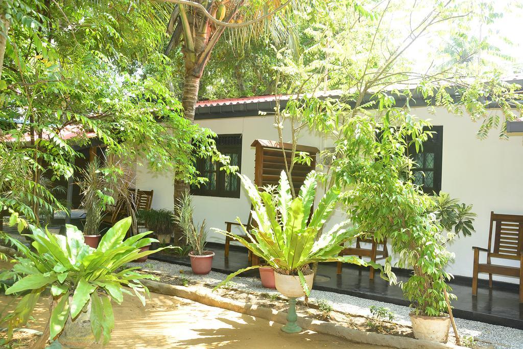 Livinginn Polonnaruwa Dış mekan fotoğraf