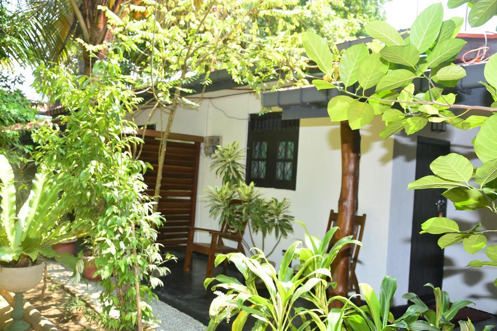 Livinginn Polonnaruwa Dış mekan fotoğraf