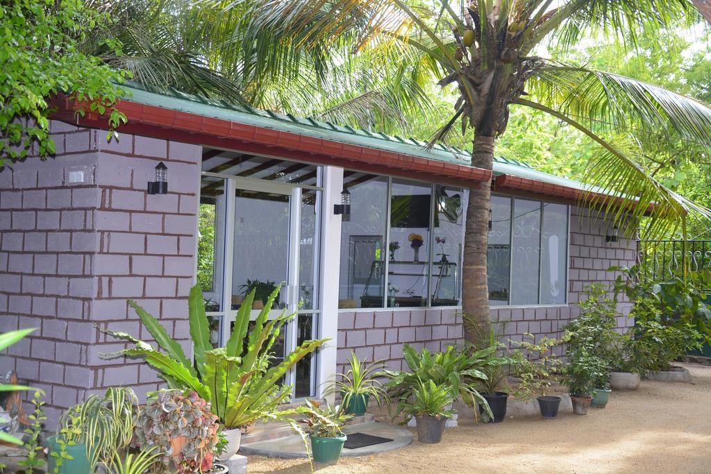 Livinginn Polonnaruwa Dış mekan fotoğraf