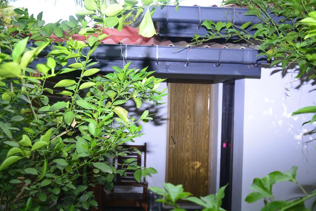 Livinginn Polonnaruwa Dış mekan fotoğraf