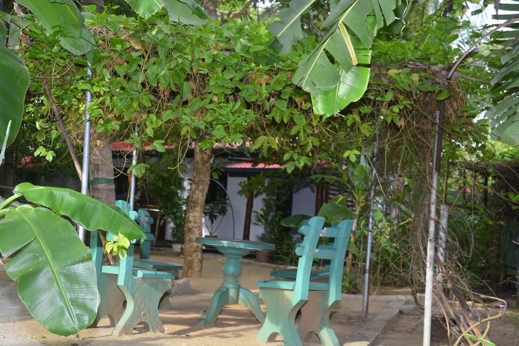 Livinginn Polonnaruwa Dış mekan fotoğraf