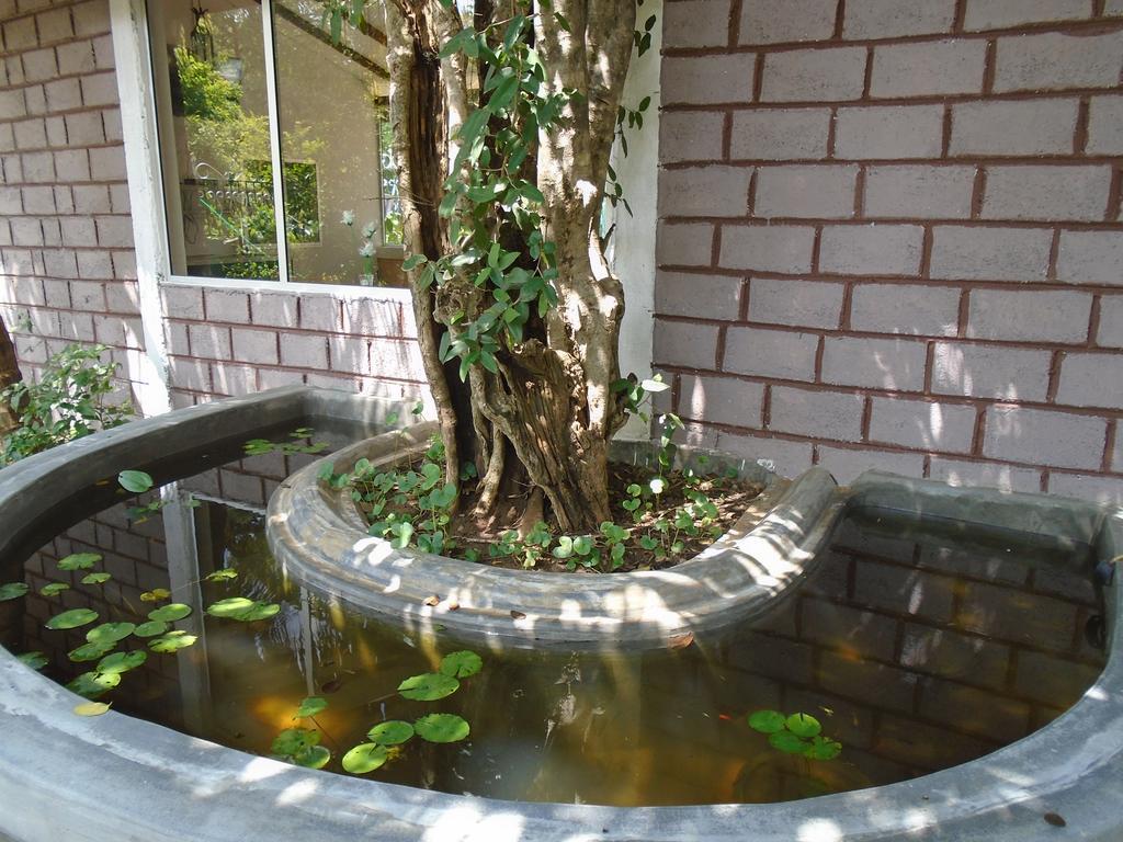 Livinginn Polonnaruwa Dış mekan fotoğraf